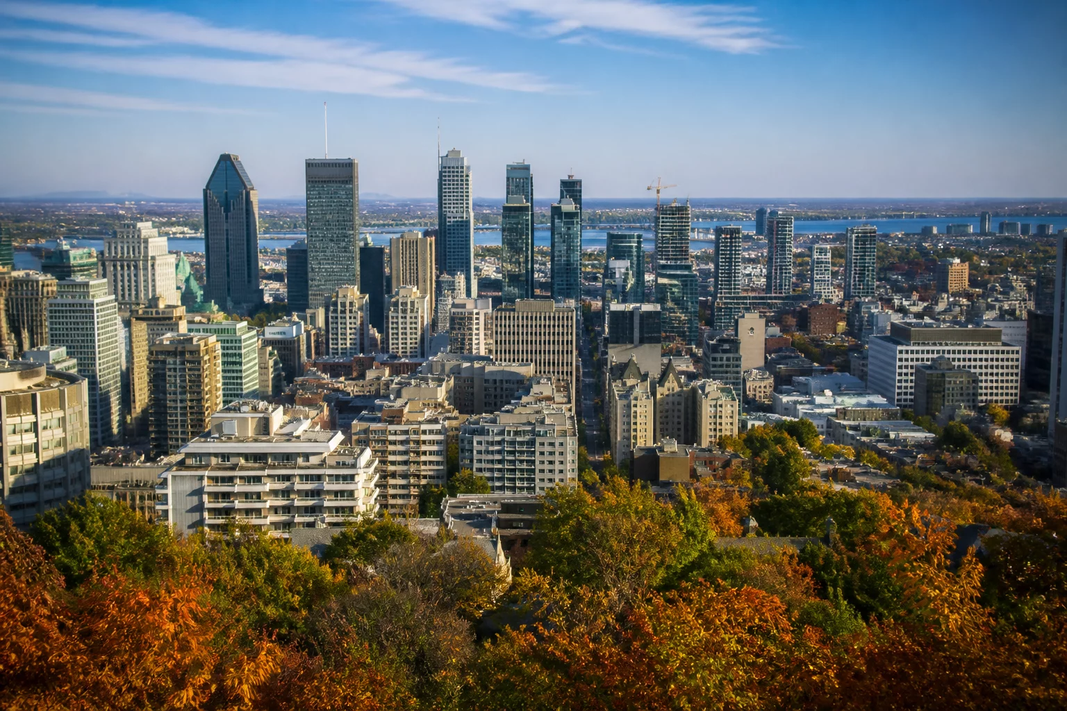 Montreal architecture and cityscape